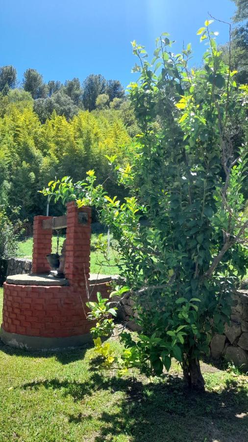 Apart Dany Villa Los Molinos Bagian luar foto